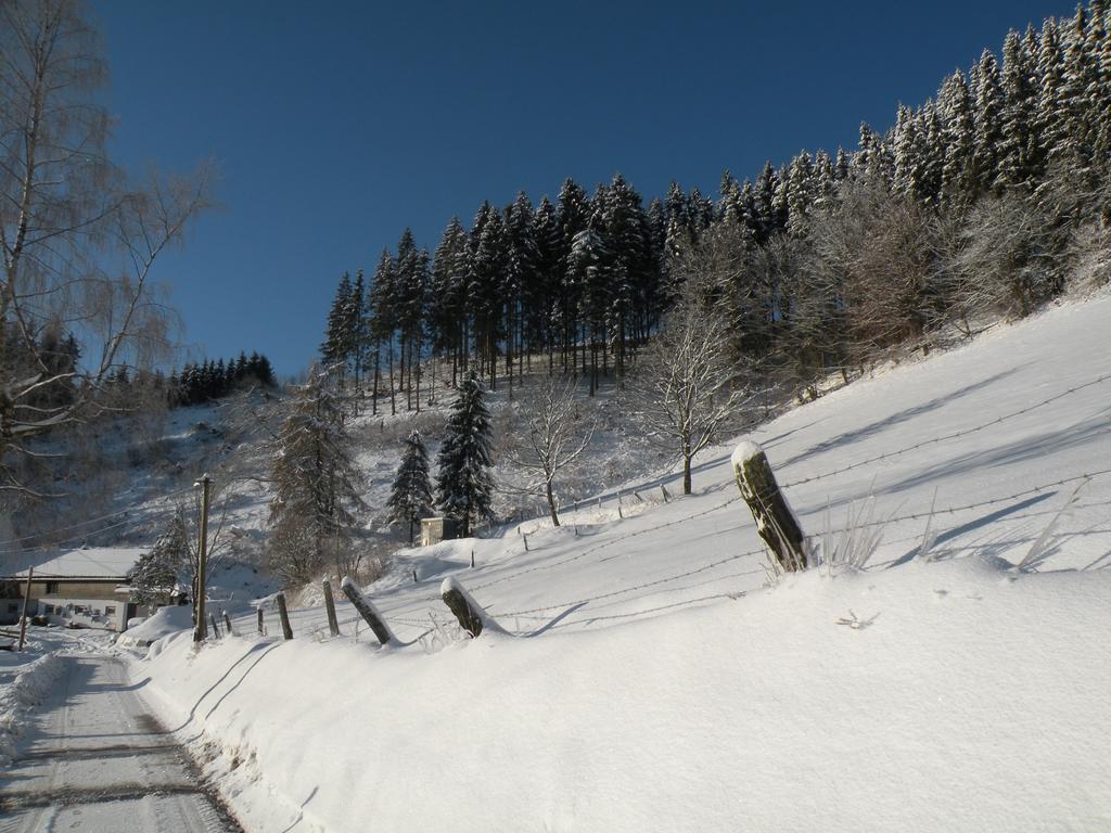 Landgasthof Nesselbach Nordenau Luaran gambar